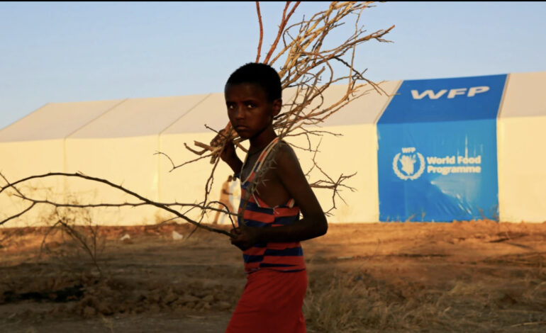  BANDITS LOOT FOOD AID WAREHOUSE IN DARFUR, SUDAN