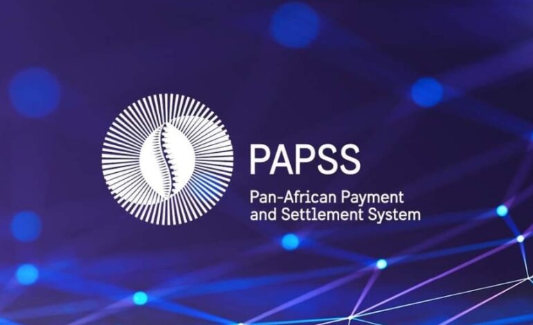 PAN-AFRICAN PAYMENTS AND SETTLEMENT SYSTEM LAUNCHES