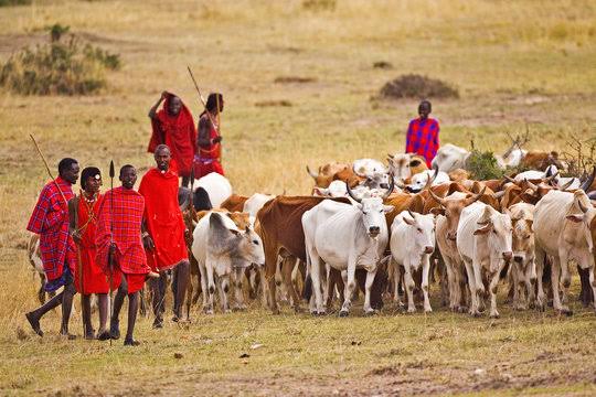 MAASAI EVICTION LOOMS IN TANZANIA AS STATE PRIORITIZES UAE ‘ROYAL FAMILY’ FIRM