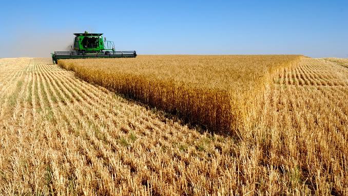 IMPACT OF RUSSIA’S INVASION OF UKRAINE ON AFRICA’S FOOD SUPPLIES