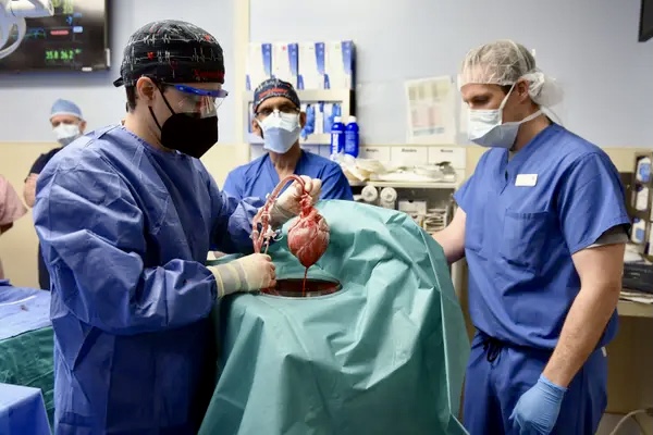 PATIENT IN GROUNDBREAKING PIG HEART TRANSPLANT DIES