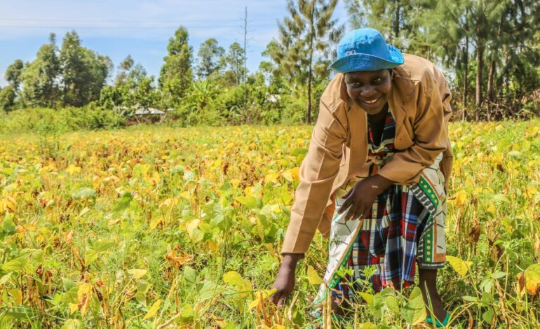 KENYA LAUNCHES TOBACCO-FREE FARMS