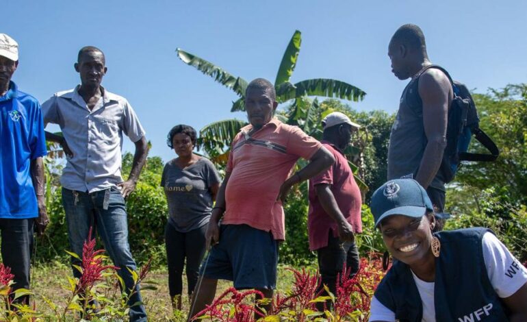 HAITIAN FARMERS DIG FOR RESILIENCE