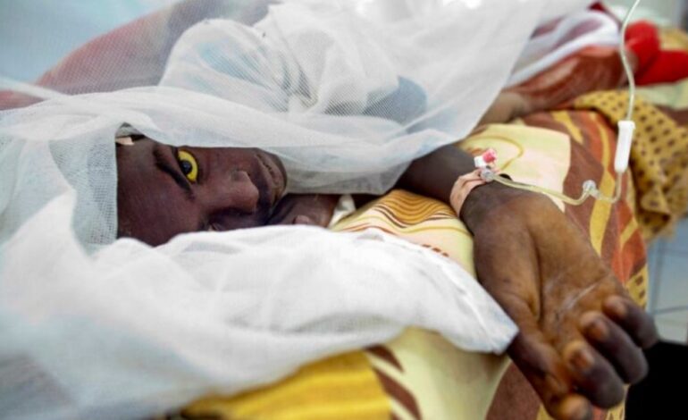 THREE DEAD AS KENYA RECORDS YELLOW FEVER OUTBREAK