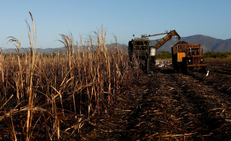 CUBA’S SUGAR HARVEST WORST IN OVER A CENTURY, ADDING TO ITS WOES