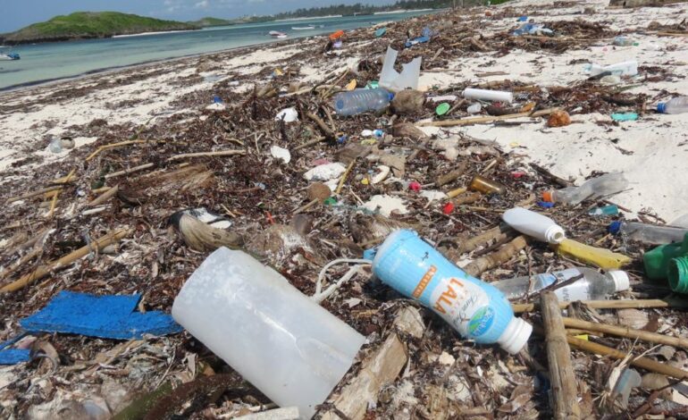 AS COVID-19 EASES, RETHINK YOUR PLASTIC FOOTPRINT ON AFRICA’S MARINE ECOSYSTEMS