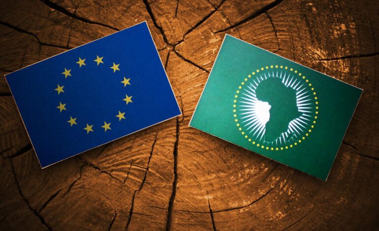  EU BANK SANCTIONS TO AFFECT FOOD PURCHASES – AU CHAIRMAN