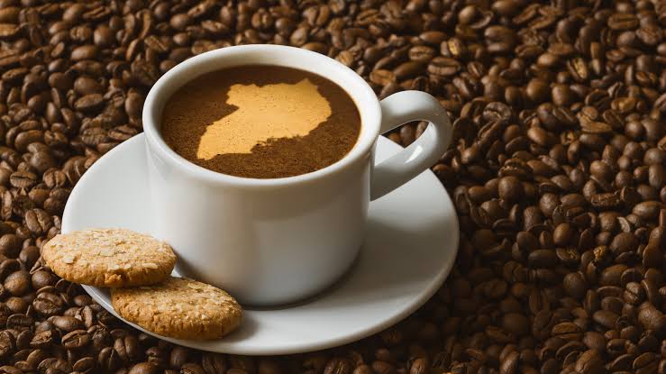 FOREIGN MARKETS SCRAMBLE FOR UGANDAN COFFEE YET IT IS SHUNNED AT HOME