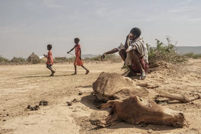 RISK OF FAMINE WORSENS IN THE HORN OF AFRICA