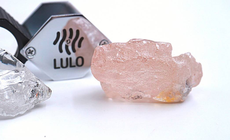ANGOLA DISCOVERS LARGEST PINK DIAMOND -170 CARATS- IN 300 YEARS