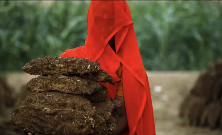 HIGH INFLATION: ZIMBABWE GIRLS OPT FOR COW DUNG AS SANITARY PADS