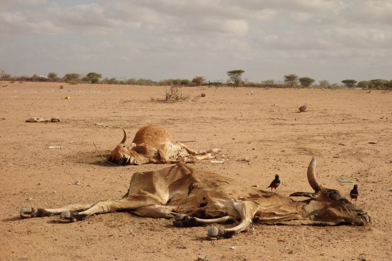 KENYA CABINET TO SACRIFICE A MONTH’S SALARY TO AID REGIONS AFFECTED BY DROUGHT