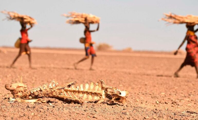 KENYANS FACING STARVATION HIT 6M FROM 4M AS DROUGHT PERSISTS
