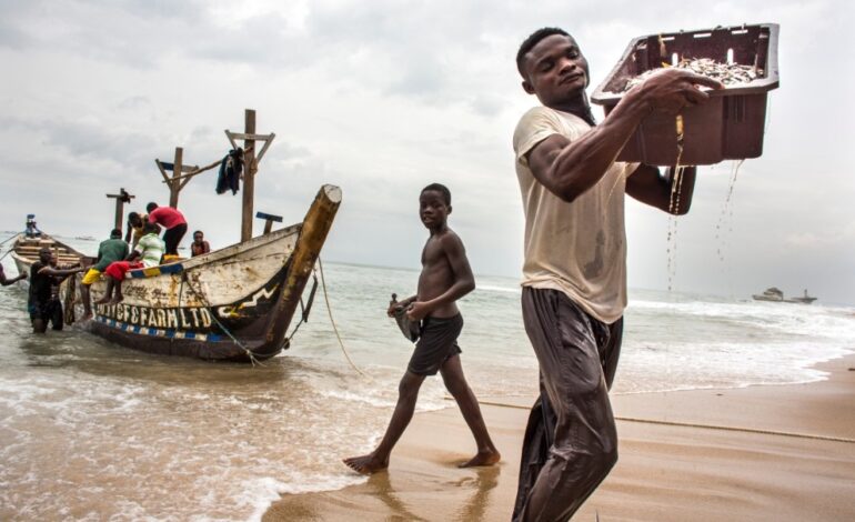 FOREIGN TRAWLERS DESTROYING FISHING IN AFRICA