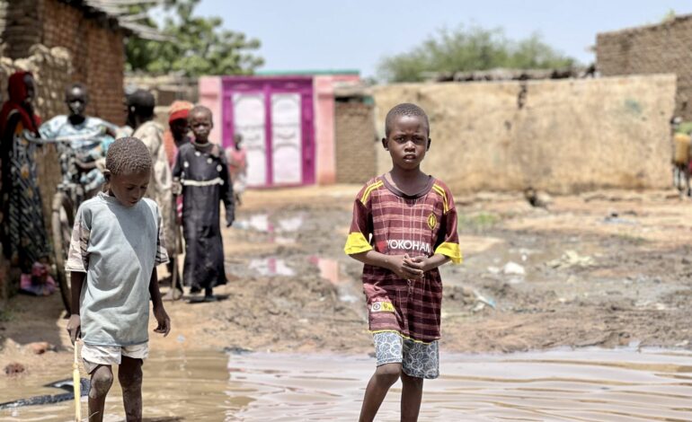 DIRE CRISIS FOR SUDAN CHILDREN AS MILLIONS MORE GO HUNGRY- AID GROUPS