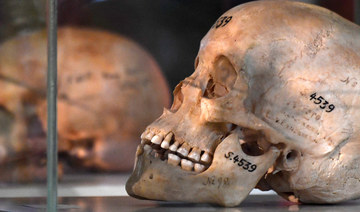  THE SALE OF AFRICAN SKULLS IN A BRITISH MUSEUM RAISES ETHICAL CONCERNS